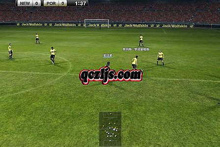 1.76���ʮ����Ф�汾