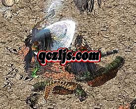 2016��������ع����