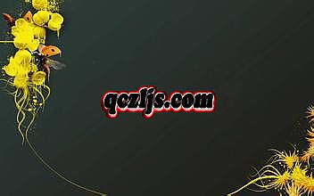 热血传奇手机版刷元宝辅助