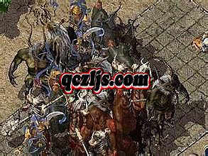 ���µ�������Ӣ���Ƽ�