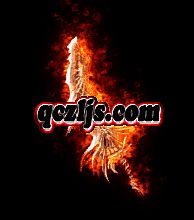 �¿�������̬����